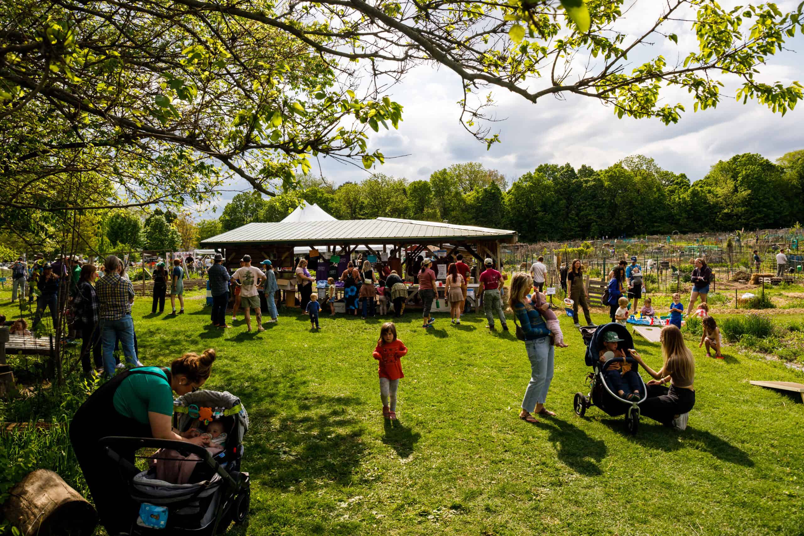 Farm to School Aid — Family fun in Troy Farm Stand · Madison, WI