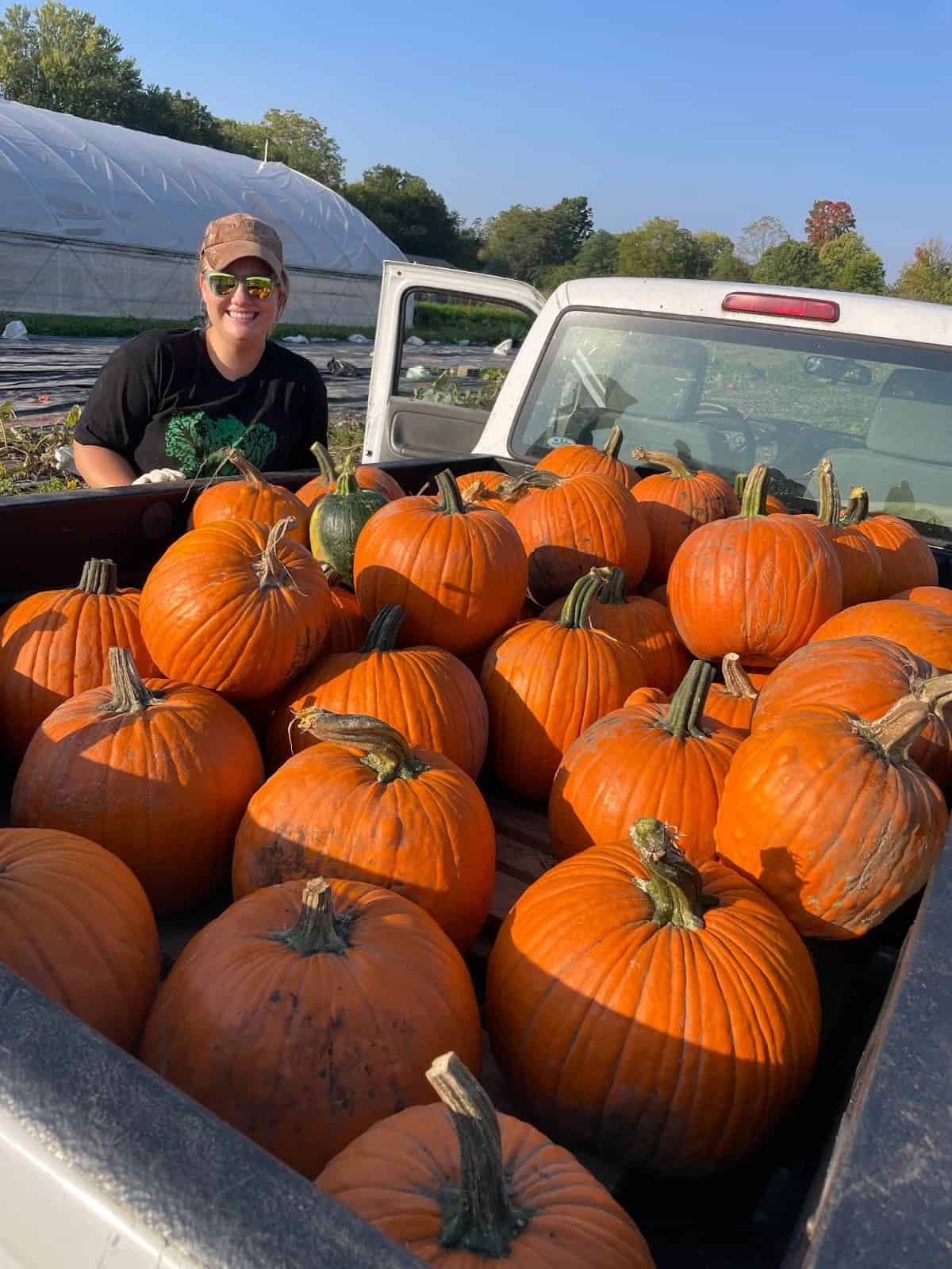 Harvest Fest — Family fun in Troy Farm Stand · Madison, WI